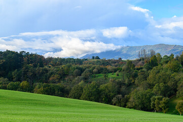 in the foreground a green field sloping downwards, full of smooth and short grass, like a large green carpet behind a slope of forest and field, behind the forest in the distance the mountain and the 