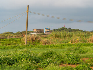 Old wooden electric poles and electric power lines on the background of the landscape