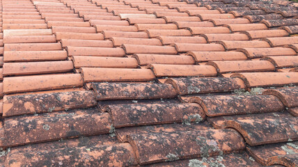 washed and non-washed roof tiles clean covered with lichen moss and cleaned tiles