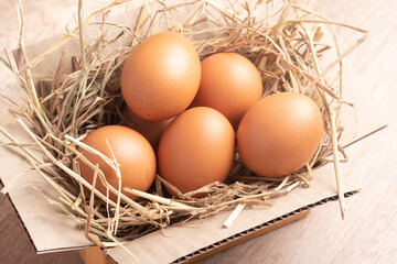 Chicken eggs on rice straw put in a box