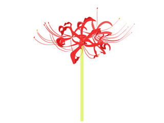 赤い彼岸花のアイコン