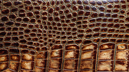Close-up of crocodile-textured patent leather, brown.