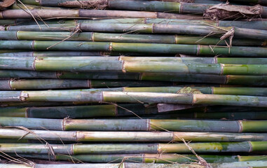 Pile of bamboo stick  for handicrafts and material of construction