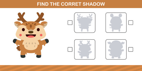 finding the correct shadow of cute animal education page game for kindergarten and preschool