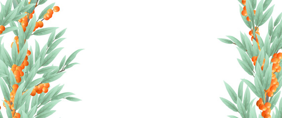 Branches sea ​​​​buckthorn of tree with ripe fruits in form of frame on both sides. Garden plant with edible harvest. Seamless composition. Branch with foliage. Isolated on white background. Vector