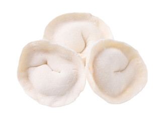 Raw frozen dumplings, transparent background, macro photography