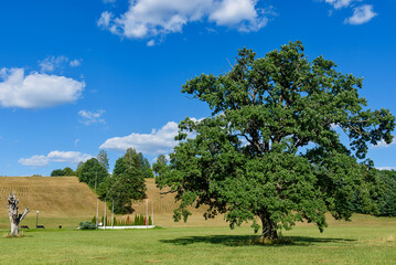 Gornji Milanovac, Serbia - July 13, 2022: Historic Landmark Second Serbian Uprising at Takovo Memorial Park.