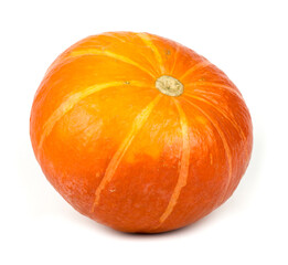Pumpkin on a white background!