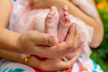 children's legs in the palms, parent and child
