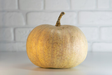 Pumpkin on white table in kitchen