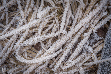 Snow covered winter grass pattern.