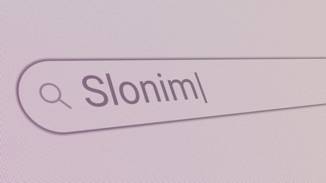 Search Bar Slonim 
Close Up Single Line Typing Text Box Layout Web Database Browser Engine Concept