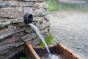 Hearty spring of water in Jesenik mountains. His name is deer spring.