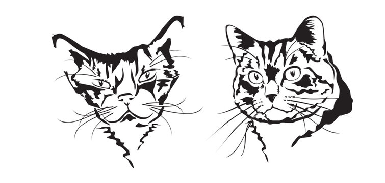 Zwei Katzenportraits als Vektoren