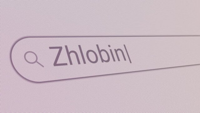 Search Bar Zhlobin 
Close Up Single Line Typing Text Box Layout Web Database Browser Engine Concept