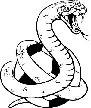 A snake soccer football ball animal sports team mascot