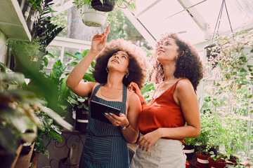 Obraz premium Black women, tablet or pointing in plant greenhouse in organic growth management, ecommerce flower orders or sustainability innovation. Smile, happy or talking florists, garden center workers or tech