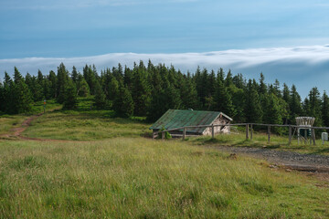 Fototapeta na wymiar Wooden shed in Jeseniky mountains on a summer foggy morning and sea of clouds around mountain peak