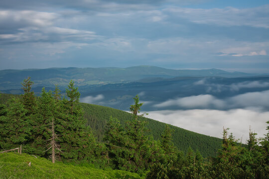 View from  Serak in Jeseniky mountains on a summer foggy morning and  sea of clouds around mountain peak