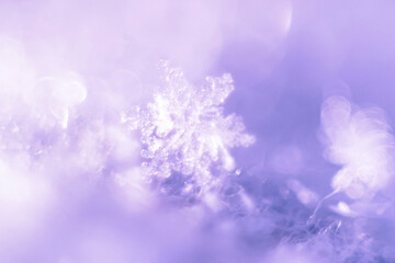 Abstract, blurry, winter background with macro snowflake.