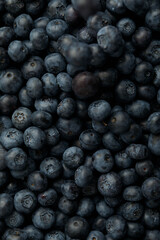 fresh blueberry full of frame, copy space, banner