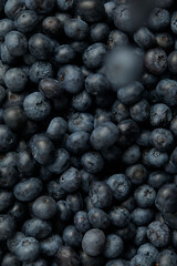 fresh blueberry full of frame, copy space, banner