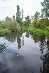 Union Bay Natural Area