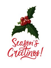 Xmas holly beautiful red berries postcard