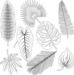 Tropical plant leaves collection. Vector black and white coloring page.