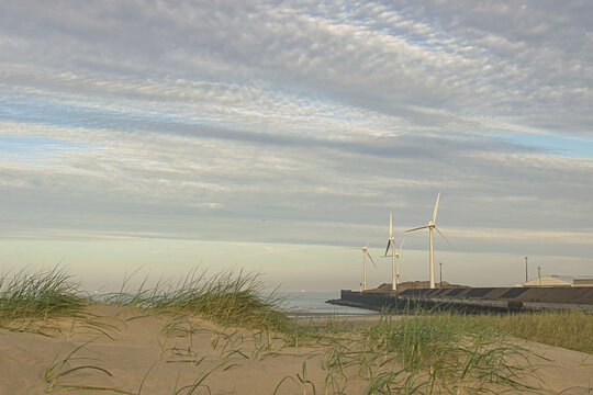 Eoliennes sur bord de mer