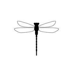 Dragonfly insect. Dragonfly animal icon isolated on white background