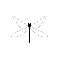 Dragonfly insect. Dragonfly animal icon isolated on white background