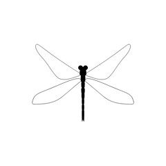 Dragonfly insect. Dragonfly animal icon isolated on white background