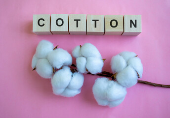 Cotton and cubes with letters on a pink background.