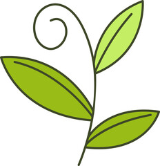 Decorative Branches and Leaves Illustration