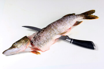 How to make pike fillets with a knife. process on a white background