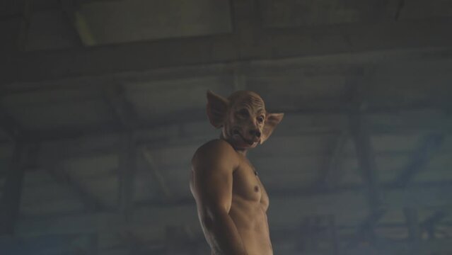 bad man with terrifying pig mask against old industrial background 