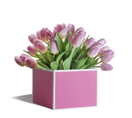 Gift box with pink tulips flowers bunch, isolated