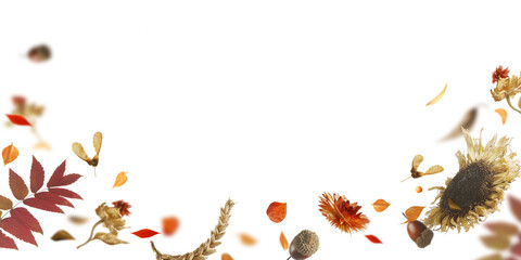 Falling autumn leaves and flowers, isolated. Border