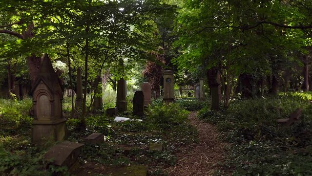 Slow drone shot pulling back to reveal a forgotten cemetery, overgrown and reclaimed by nature.