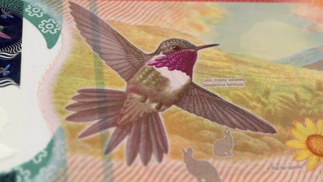 Costa Rica Costa Rican Col&oacute;n 20000 Banknotes, Twenty thousand Costa Rican Col&oacute;n, Close-up and macro view of the Costa Rican Col&oacute;n, Tracking and Dolly Shots 20000 Costa Rican Col&oacute;n banknote Observe and