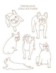 French Bulldog Outline Illustrations in Various Poses