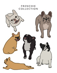French Bulldog Color Illustrations in Various Poses
