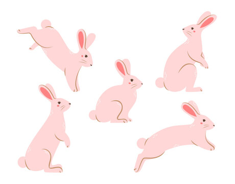 Set of cute rabbits in different poses. Flat vector illustration.