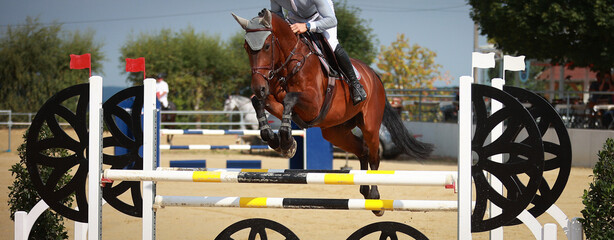 Horse jumping horse with rider over the obstacle, narrow section..