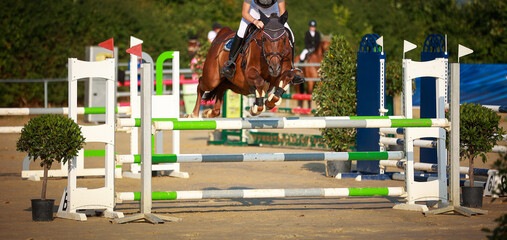 Horse jumping horse with rider over the obstacle, narrow section with other riders out of focus in...