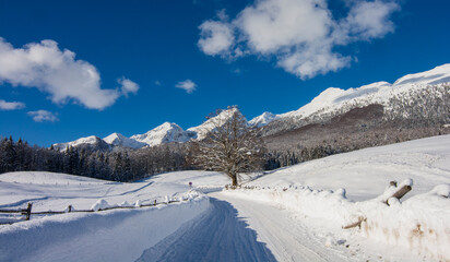 Fototapeta na wymiar a beautiful day on the trail to the high snowy mountain