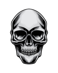 detailed grayscale skull vector illustration