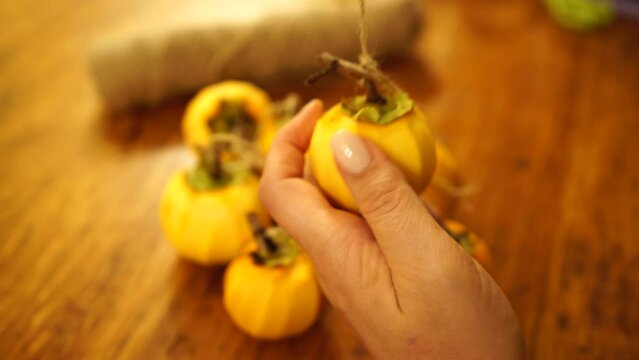 Woman hands preparing fresh persimmon fruit for drying, lined up on a rope. Row of Hanging Japanese dried Persimmon - Hoshigaki on strings to preserved it in autumn season. Selective focus