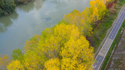 Aerial view over the Tiber River in Rome, Italy. Autumn colors dye the trees along the river.